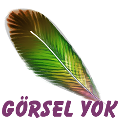 Altın bilezik fiyatları