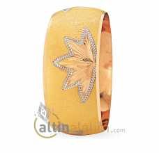 22 Ayar Bilezik Ne Kadar?